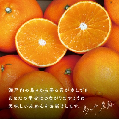 島のね農園 まどんな(4kg) 【K001620】【1474797】