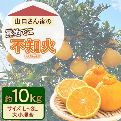 不知火 山口さん家の露地でこ約10kg L～3L混合【先行予約!2026年2月上旬～発送】(宇城市)【1703935】