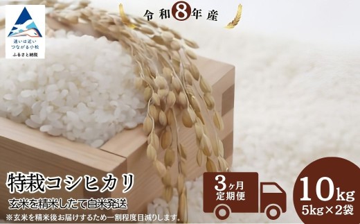 令和8年産 新米 【3回定期便】 特栽コシヒカリ 精米 白米 （玄米10kgを精米したて白米発送） こしひかり | 石川県 小松市【のむら農産】