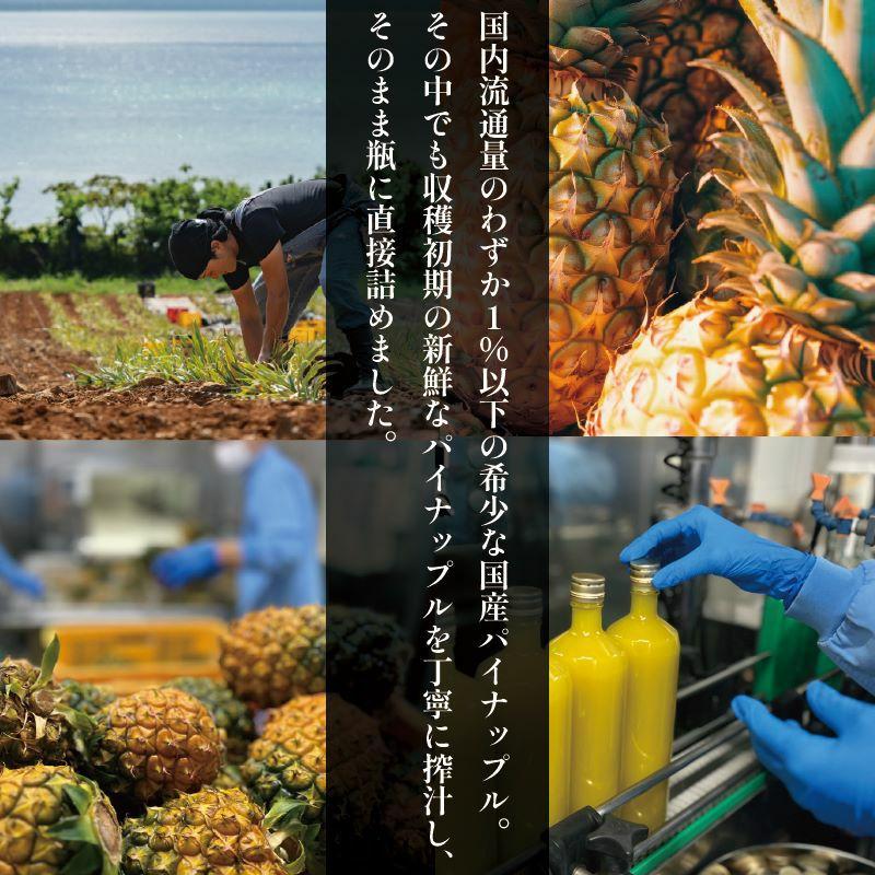 石垣島産パイナップルジュース100%直充 900ml | 沖縄県 石垣市 石垣島 南国 フルーツ 果物 パイン ジュース 飲料 ドリンク
