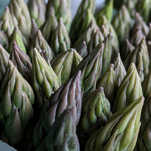 うえの農園の無添加アスパラ茶 | お茶 ティーパック2.5g×8個 国産 栃木県産 アスパラ アスパラガス　※離島への配送不可