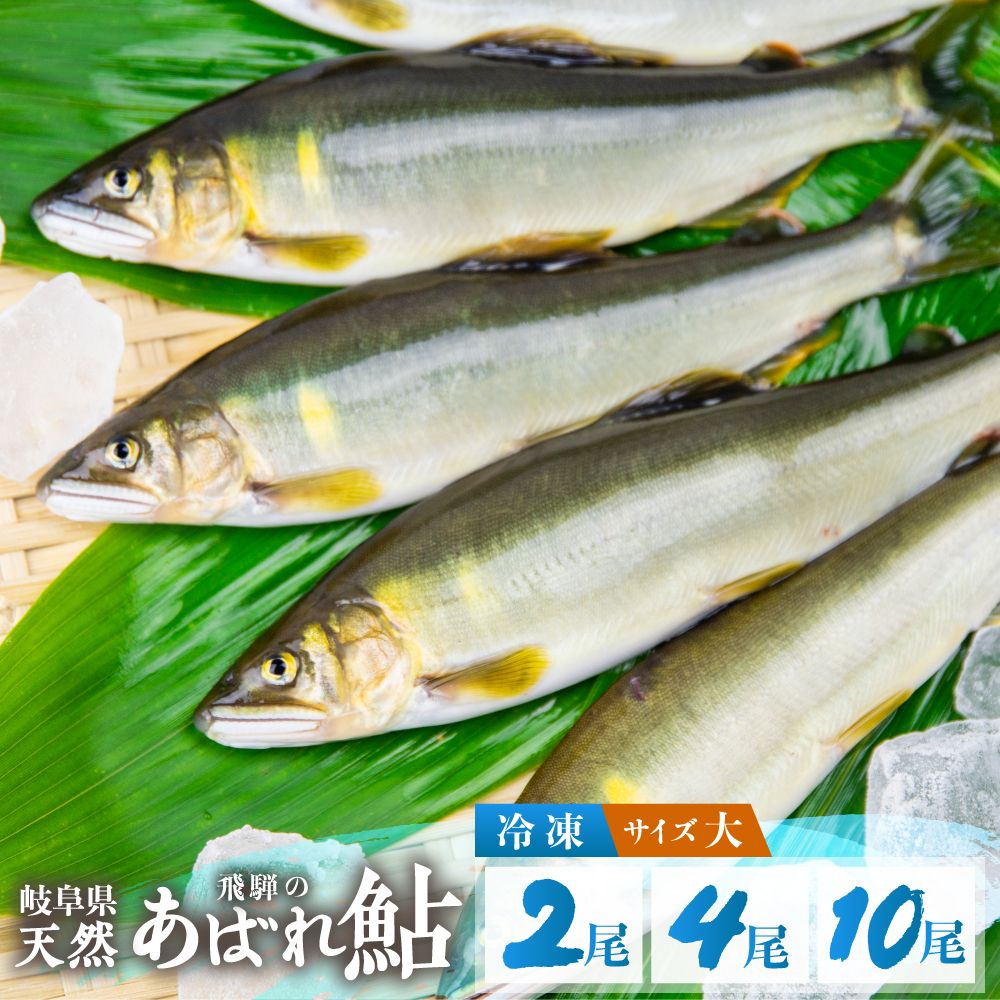 【ふるさと納税】《先行予約》2025年産 飛騨 天然鮎 大サイズ 2尾 4尾 10尾 天然 アユ 鮎 岐阜県 室田名人 宮川下流 飛騨のあばれ鮎 高級料亭御用達 急速冷凍 冷凍 あゆ 魚 天然 川魚 10000円 20000円 50000円