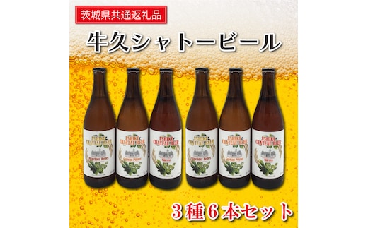 ふるさと納税でもらえるおすすめクラフトビール＆地ビール特集。定期便や訳あり品も ふるさと納税ナビ