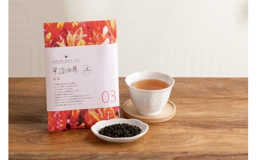 
										
										直茶発祥の地からお届け「宇治田原紅茶」50g×5袋 〈お茶 茶 紅茶 茶葉 飲料 フルーティー 加工食品〉
									