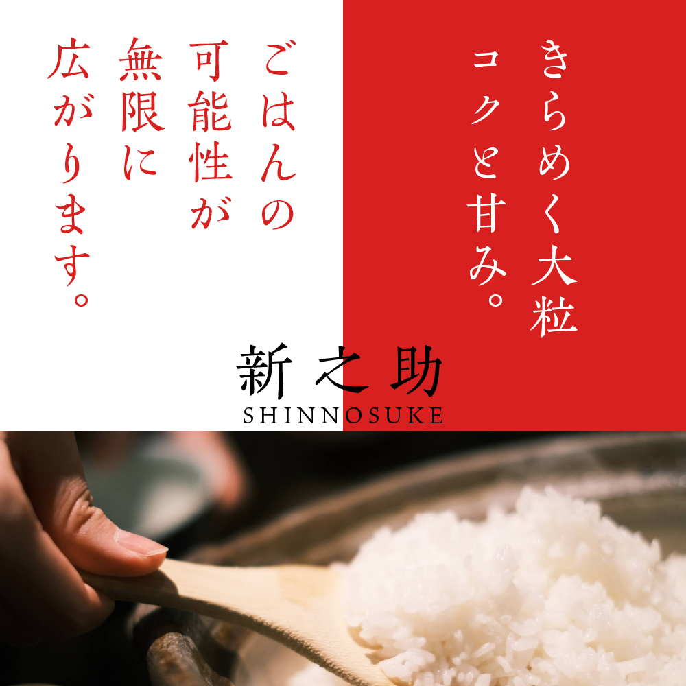 【2025年3月下旬発送】新潟県上越妙高産新之助5kg