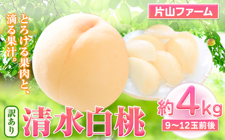 訳あり 清水白桃 約4kg 桃