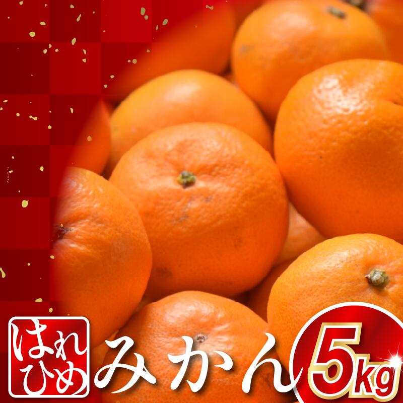 【ふるさと納税】 みかん 約5kg はれひめ 蜜柑 柑橘 フルーツ 果物 オレンジ ジュース デザート ケーキ アイス シャーベット ゼリー スイーツ お菓子 ギフト 送料無料 徳島県 三好市 みよし 篠原農園