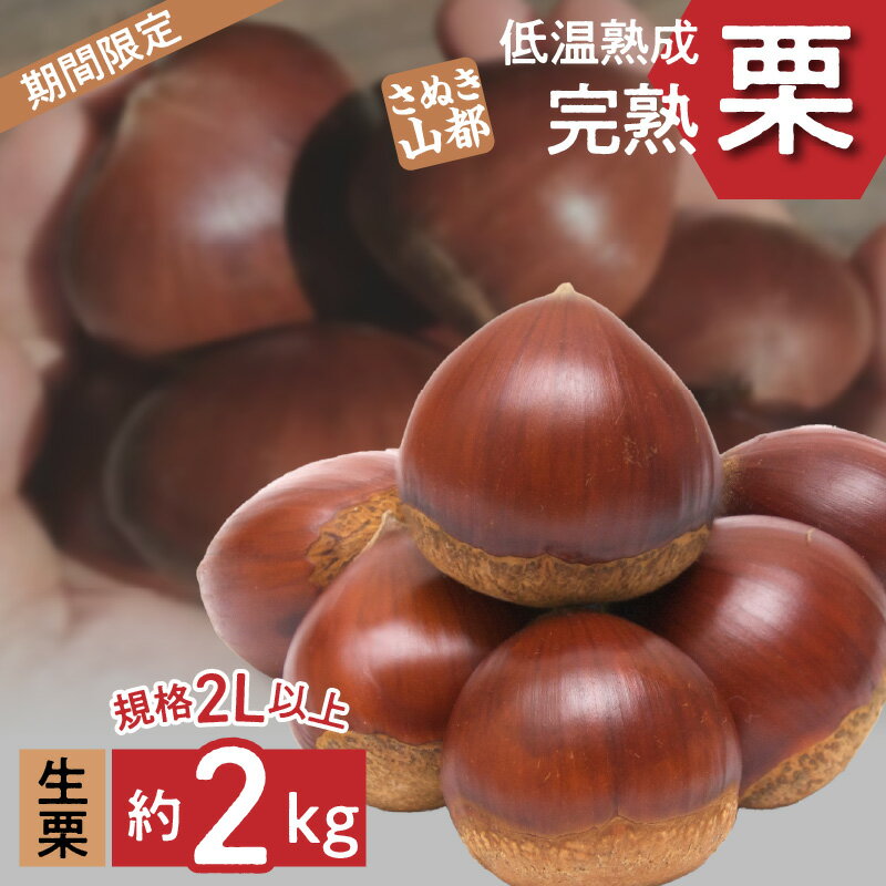 【ふるさと納税】 期間限定 数量限定 先行予約 さぬき山都の低温熟成完熟栗 (生栗) 約2kg (2Lサイズ以上) さぬき 山都 低温熟成 完熟 栗 完熟栗 大粒 栽培 厳選 糖度 選別 三豊市産 グルメ お取り寄せ アレンジ お取り寄せグルメ 香川県 三豊市 送料無料 くり