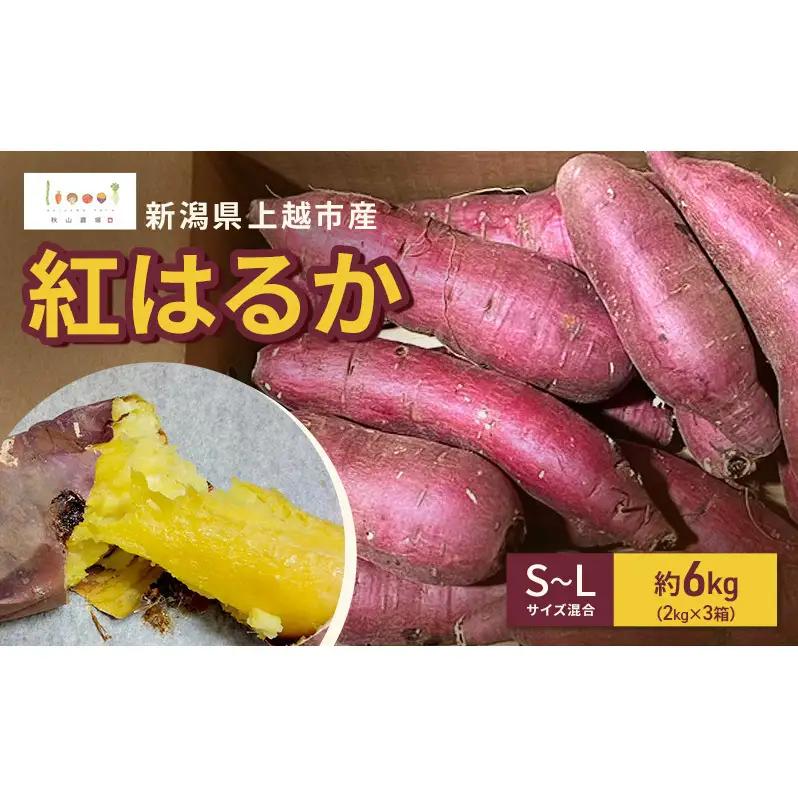 新潟県上越市産 紅はるか サツマイモ さつまいも S-Lサイズ混合 約6kg（2kg×3箱） 秋山農場グリーンプロジェクト