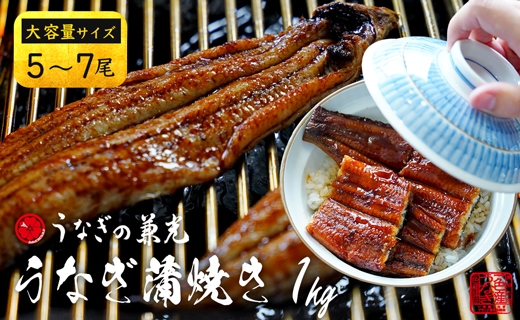 大ボリューム1kg　愛知県三河一色産　うなぎ蒲焼き　（5尾〜7尾） 蒲焼き 総菜 国産うなぎ ウナギ 鰻 愛知県産 西尾市産 西尾一色産 タレ付き たれセット 蒲焼き かば焼き・U040-37