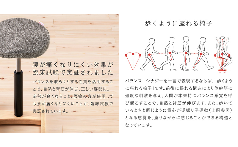 バランス シナジー(カバーなし) シックブラウン/スクエアシート 腰痛対策椅子 腰痛 椅子 腰痛椅子 イス チェア オフィスチェア バランスチェア デスクチェア 姿勢が良くなる 猫背 姿勢矯正 姿勢 
