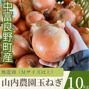山内農園の無選別たまねぎ　10kg【AW-021】