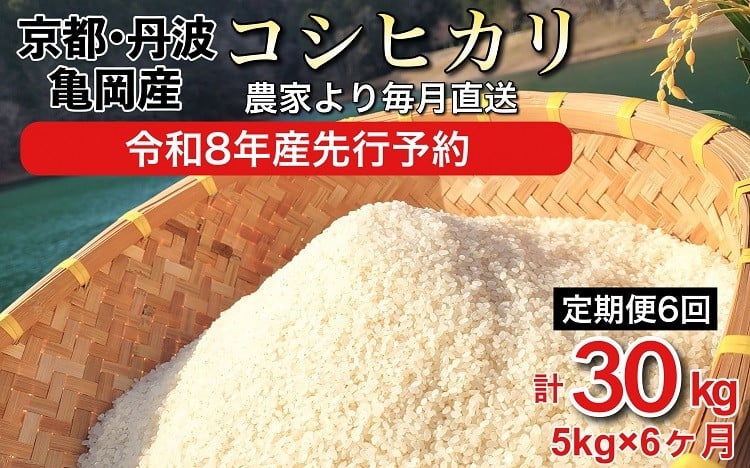 
                  【寄附額改定】【令和8年産 新米 先行予約】京都丹波産 こしひかり 精米 5kg × 6回 定期便【佐伯の里】 白米 米 お米 こめ コメ ライス ご飯 ごはん 低農薬米 減農薬米 おいしい 美味しい 贈り物 単一原料米 国産 コシヒカリ 仕送り お取り寄せ 令和8年産米 産地直送 定期便米 米定期便 人気 おすすめ 5キロ 30キロ ※北海道・沖縄・離島の配送不可 【～3月31日まで】
                