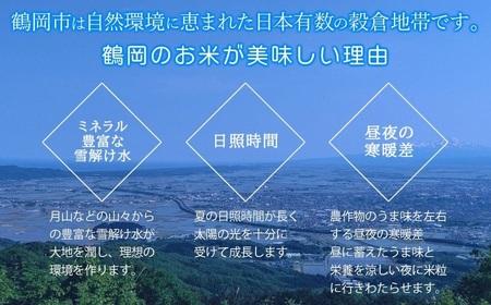 【令和7年産】 特別栽培米 山形つや姫 無洗米 5kg (5kg×1袋)　山形県鶴岡市産　株式会社菜な八（鶴岡ファーマーズ）