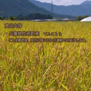 【12ヵ月定期便】兵庫県佐用町産 お米 5kg×12ヵ月 (計60kg)  精米 てんこもり