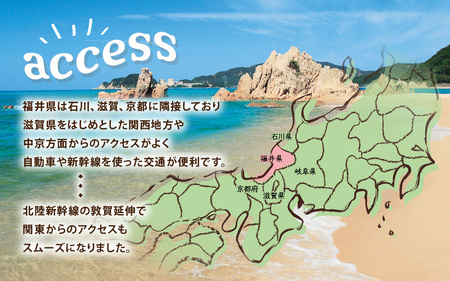 福井県美浜町観光宿泊券（15,000円分）【ギフト 母の日 父の日 こどもの日 敬老の日】 [m07-e001]