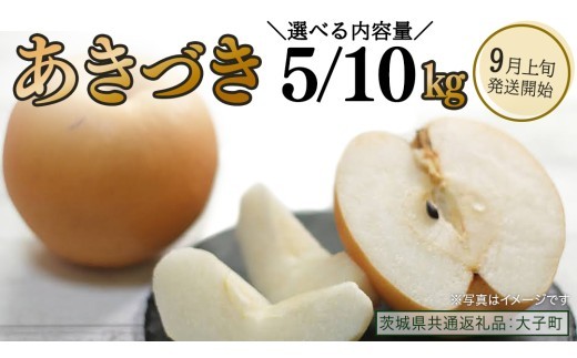 
                  【 選べる 内容量 】  あきづき 約5kg / 約10kg 【2026年9月上旬発送開始】(茨城県共通返礼品：大子町) 秋月 梨 なし 果物 くだもの フルーツ
                