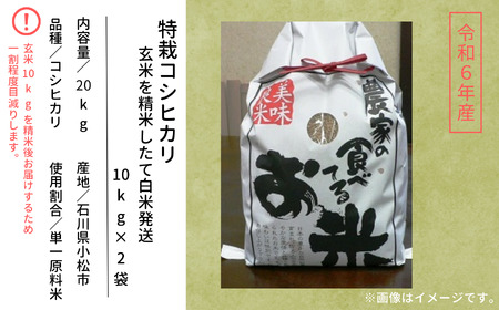 《9/20過ぎ発送予定 先行予約！》令和6年産 特栽コシヒカリ 玄米を精米したて白米発送 10kg×2袋 034009