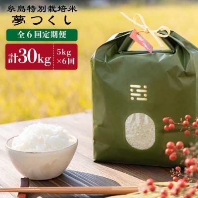 ふるさと納税 糸島市 【全6回定期便】糸島特別栽培米5kg(夢つくし)itoshimacco[ARJ007]