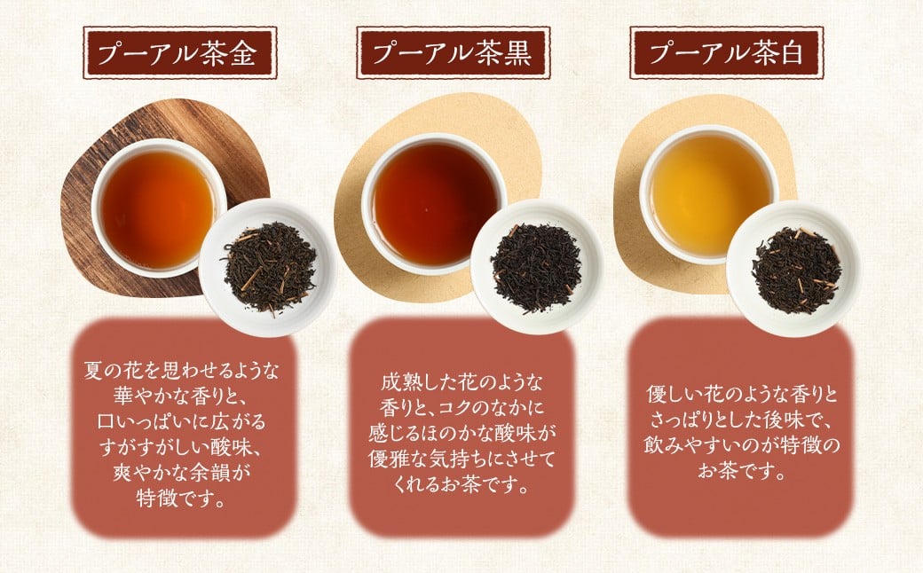 【種類が選べる！】STプーアル茶 3パックセット