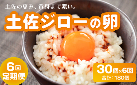 【卵 6回定期便】土佐ジローの卵 30個入 高知県 南国市