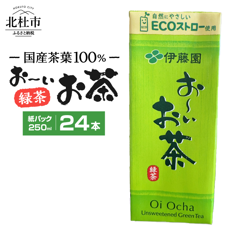 おーいお茶　250ml　24本　伊藤園　紙パック
