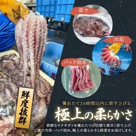 (無地熨斗付き)ヤナギダコ500g【産地直送】プリプリ食感!釧路町昆布森産 噛むたびに広がる多幸の旨【配送不可地域：離島】【1624427】