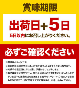 ぶどう 3ヶ月 定期便 [2024年先行予約] シャインマスカット 晴王 約650g 岡山県産《9月上旬-11月中旬頃出荷(土日祝除く)》 ハレノフルーツ マスカット 送料無料 岡山県 浅口市 フルー