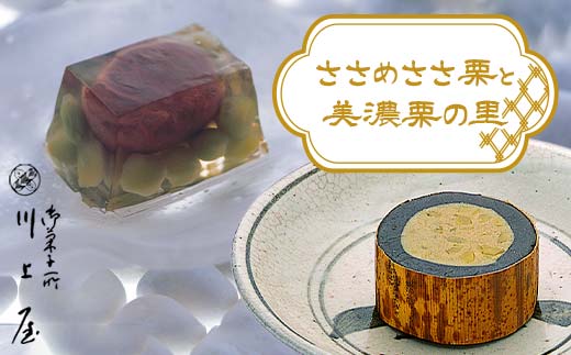 御菓子所川上屋 ささめささ栗・美濃栗の里6個詰合 羊羹 栗 栗きんとん 栗菓子 和菓子 F4N-1911