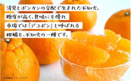 【2025年2月～3月頃発送予定】九州・福岡フルーツ王国八女｜ワケあり「不知火」（デコポンと同品種）約4kg（＋1kg傷み補償付き）＜配送不可：北海道・沖縄・離島＞ 072-167