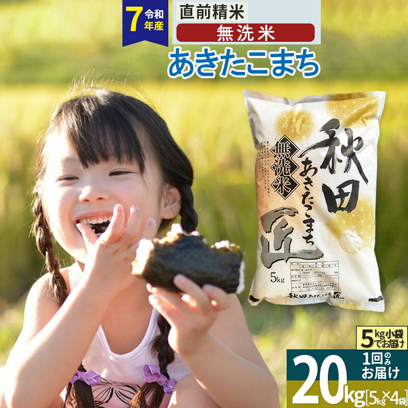 【ふるさと納税】【無洗米】※R7※ 秋田県産 あきたこまち 20kg (5kg×4袋) 令和7年産 お米 匠