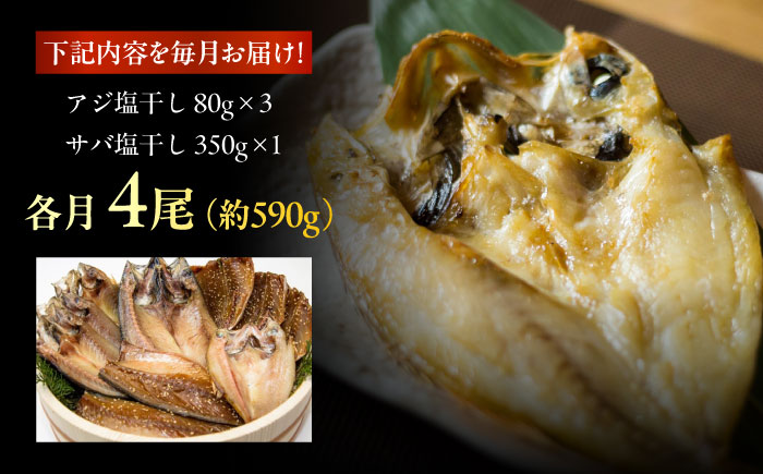【12回定期便】【S】一夜干し 塩干し（アジ/サバ）計4尾 五島市/愛情食彩 [PCH012]
