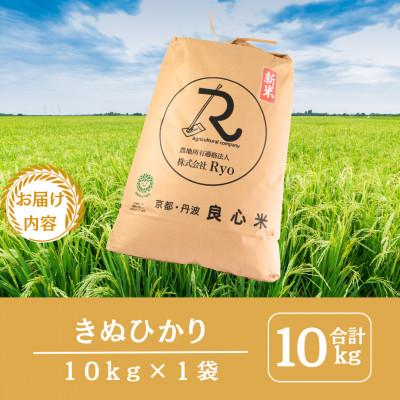 ふるさと納税 南丹市 【2025年11月以降順次発送】 令和7年産 新米予約 キヌヒカリ 10kg 京都丹波産 |  | 01