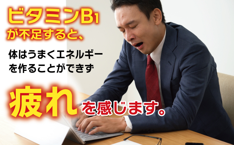 アリナミンV 定期便 30本×全12回【50mL 栄養ドリンク アリナミン製薬 疲労回復 指定医薬部外品 アリナミン製薬 毎月配送】 099Z277