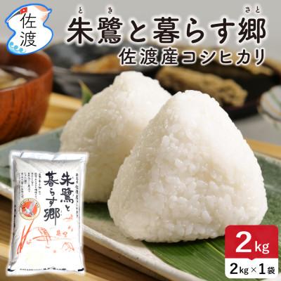 ふるさと納税 佐渡市 佐渡島産コシヒカリ「朱鷺と暮らす郷」白米2kg(2kg×1袋) 令和7年産 特別栽培米