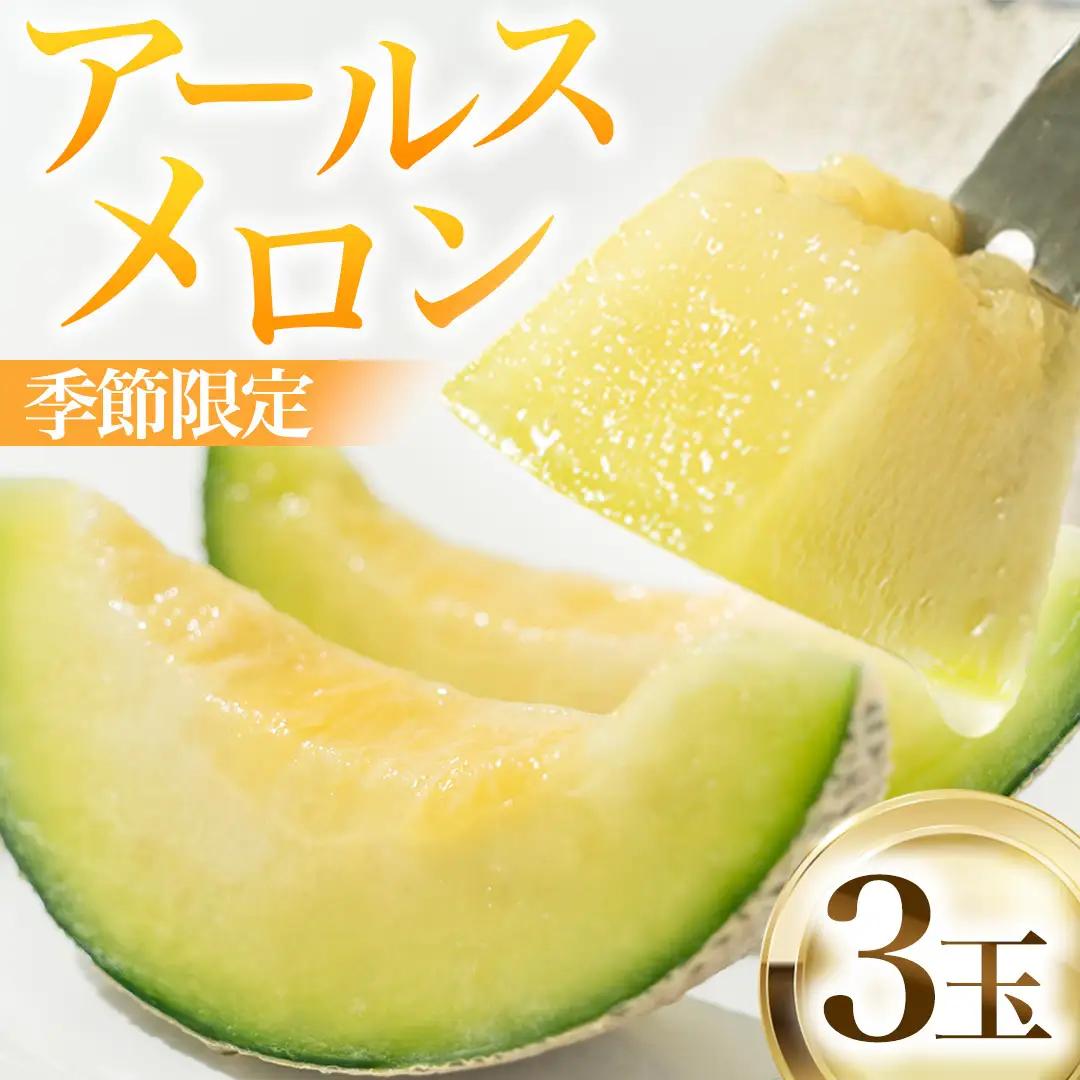 【2026年8月下旬発送開始】 季節 限定 ！ 甘さ満点 アールスメロン 3玉 入箱 果物 フルーツ 農家直送 産直 青肉メロン 特産品 マスクメロン メロン くだもの 茨城 [BC044sa]