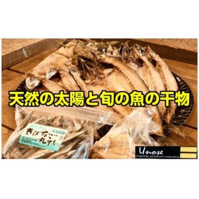 ふるさと納税 錦江町 一代目から続く製法!大満足の旬の干物セット (No.1084-1)