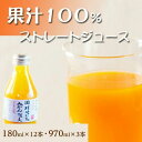 【ふるさと納税】果汁100％田村そだちみかんジュース　180ml×12本／970ml×3本 | 和歌山県 和歌山市 和歌山 楽天ふるさと 納税 支援品 返礼品 ジュース みかんジュース ミカンジュース 飲み物 フルーツジュース 果汁100 ソフトドリンク みかん ミカン ドリンク 柑橘 柑橘類