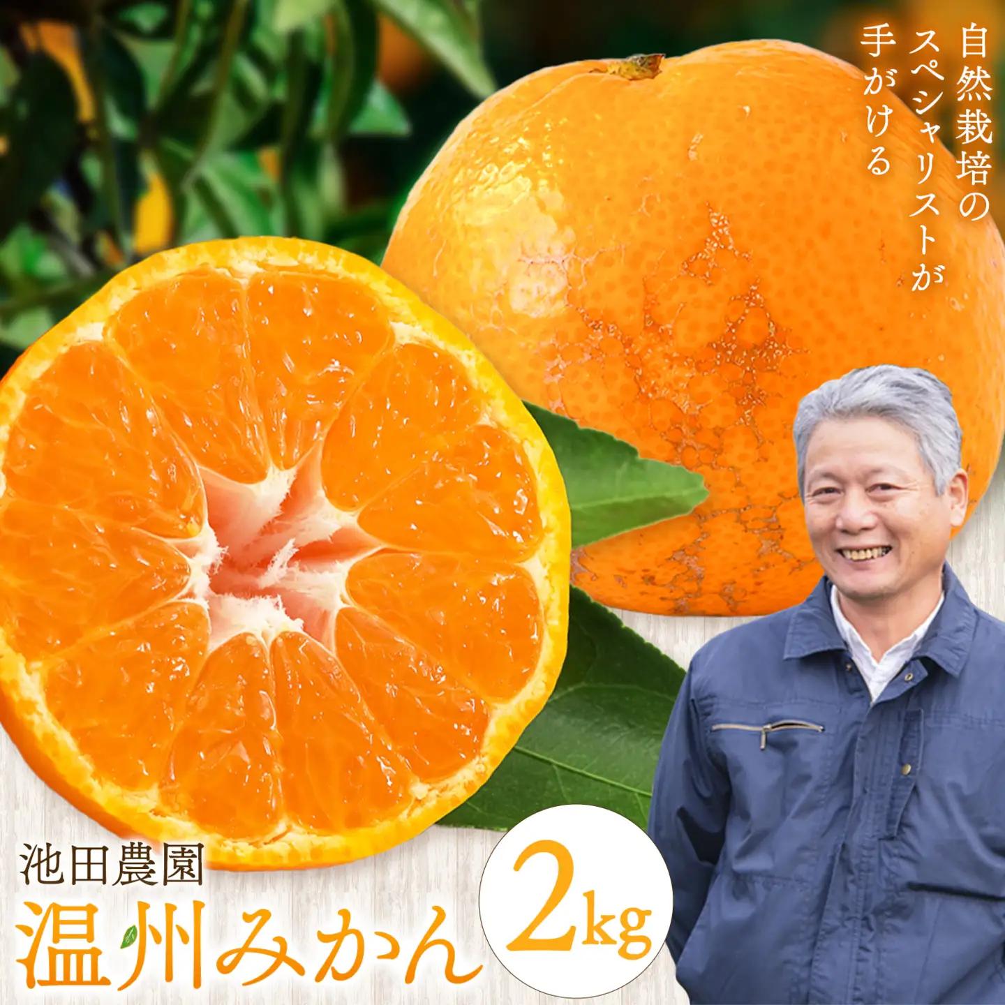 温州みかん 2kg 池田農園
