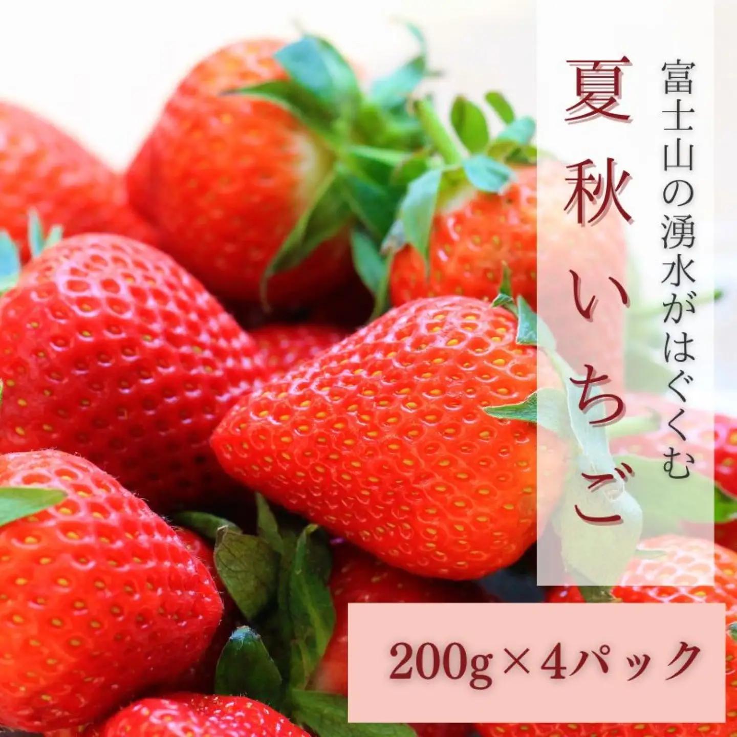 【2026年先行予約】山梨の夏秋いちご　ご家庭用 200ｇ× 4パック