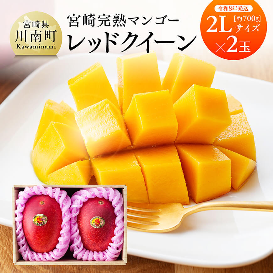 【ふるさと納税】 ※レビューキャンペーン※【令和8年発送】宮崎県産完熟マンゴー　「レッドクイーン」2L×2玉 - 先行予約 数量限定 期間限定果物 フルーツ マンゴー 宮崎県産 完熟マンゴー みやざきマンゴー C03210