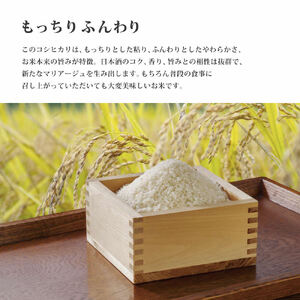 お米 令和7年産 日本酒に合う コシヒカリ 白米 10kg (5kg×2)[ 米 こめ コメ 精米 ] 
