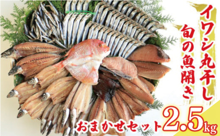 魚 丸干し 開き セット 2.5kg 丸干し