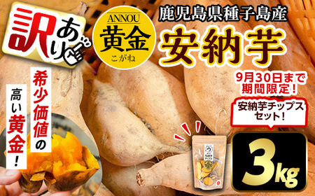 n387 ＜期間・数量限定セット！先行予約受付中！2025年9月下旬頃から12月中の発送予定＞《訳あり》種子島産 安納芋＜黄金＞(3kg)＆安納芋チップス1袋セット 国産 安納芋 黄金 こがね コガネ 種子島 さつま芋 安納いも 野菜 いも さつまいも 芋 イモ 【うずえ屋】