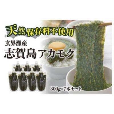 ふるさと納税 福岡市 玄界灘産  アカモク(300g×7本　計2.1kg) HR13
