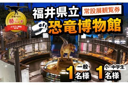 恐竜博物館 観覧券 常設展 一般1名＋小中学生1名 [A-048009]