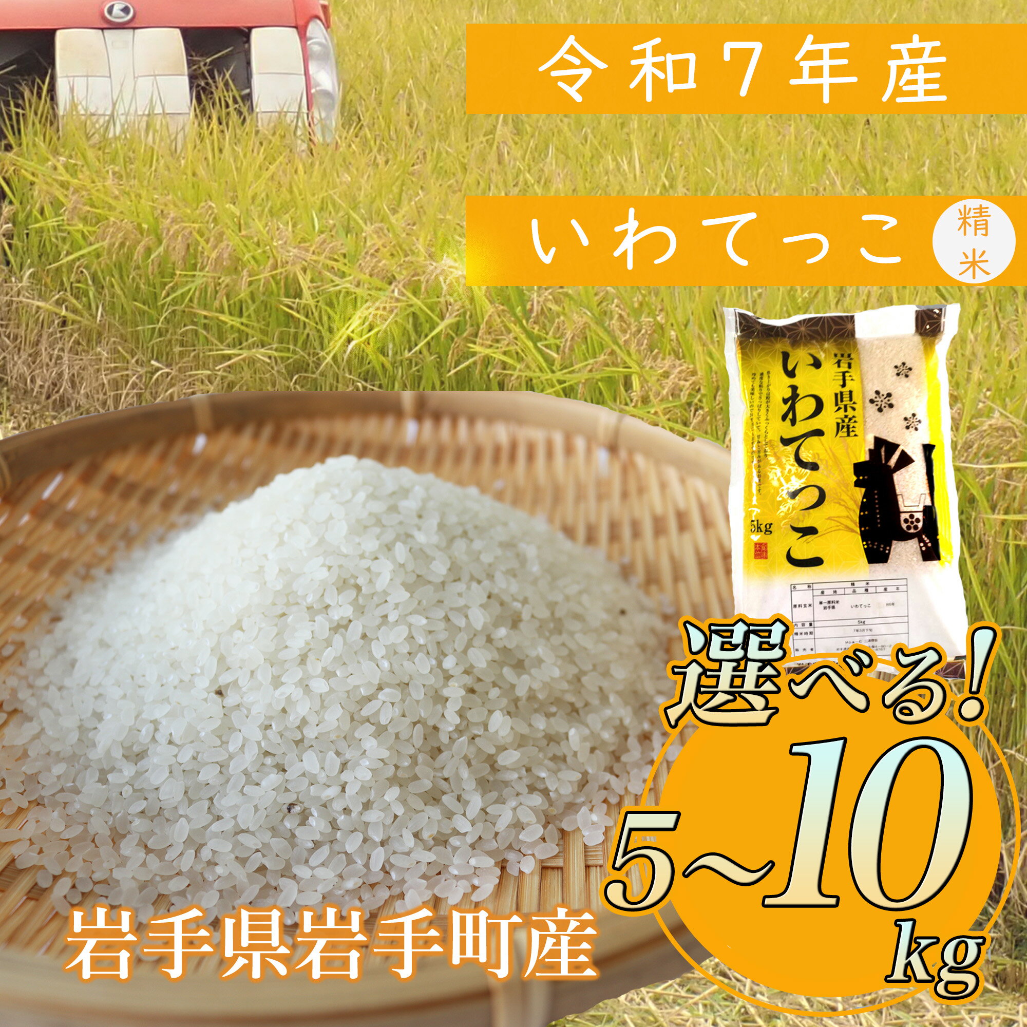 【ふるさと納税】【先行受付】令和7年産岩手町産いわてっこ精米5kg 令和7年 新米 5kg 10kg 5キロ 10キロ 送料無料 農家直送 こめ 岩手 岩手町 岩手県 Mふぁ～む