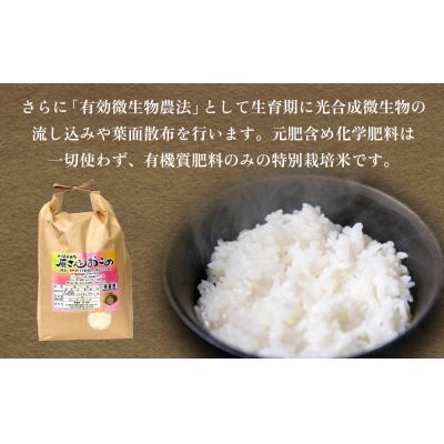 ふるさと納税 玖珠町 《先行受付》令和7年産 原さんちのお米 10kg ひとめぼれ 特別栽培米 原農園 有機栽培 |  | 02