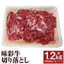 【ふるさと納税】味彩牛 切り落とし 合計約1.2kg 約600g×2パック 切落し スライス済み 小分け 牛肉 お肉 熊本県産 九州産 国産 冷凍 送料無料