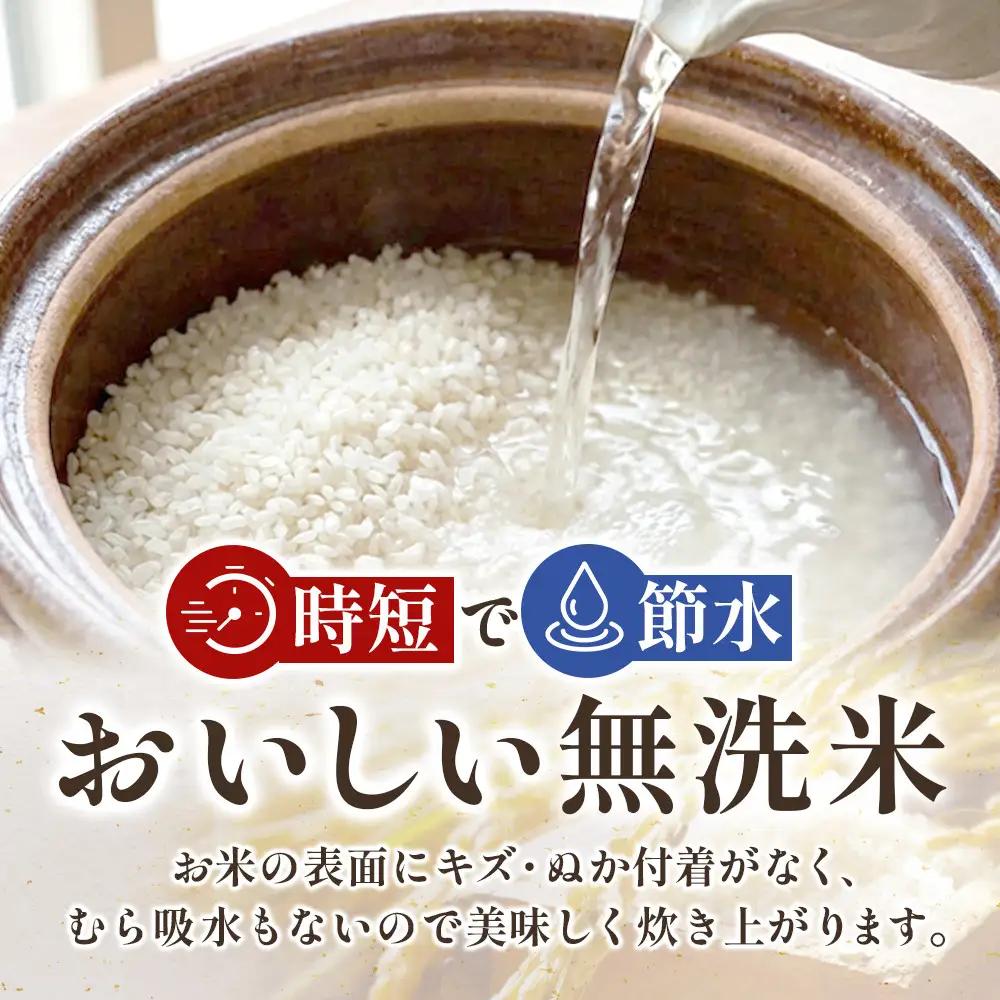 【令和7年産】ひとめぼれ 無洗米 5kg ｜ ひとめぼれ